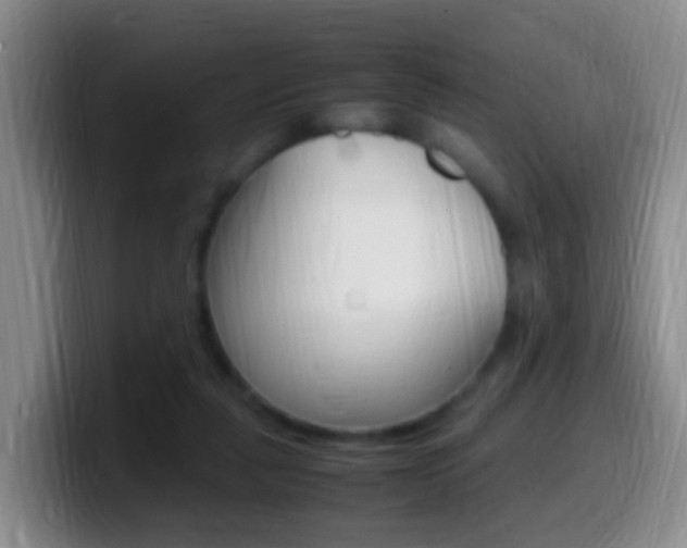 X0000099980259200805231029