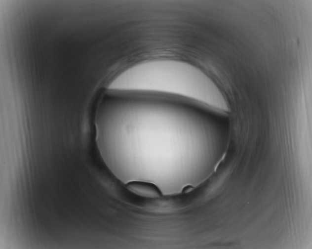 X0000099980260200805231029