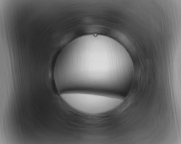 X0000099980261200805231029