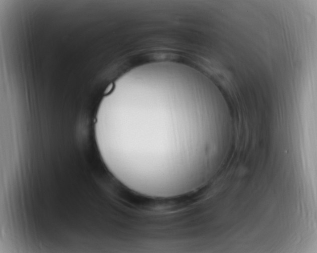 X0000099980263200805231029