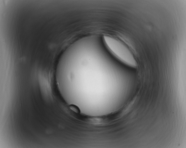X0000099980265200805231029