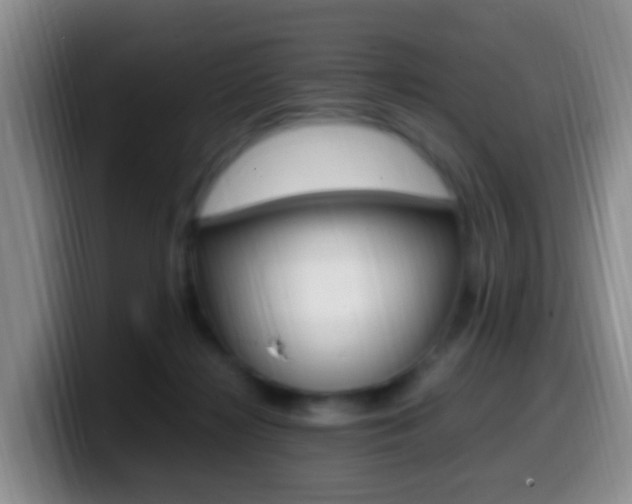 X0000099980268200805231029