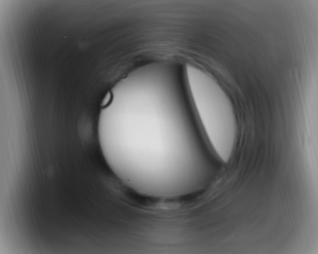 X0000099980270200805231029