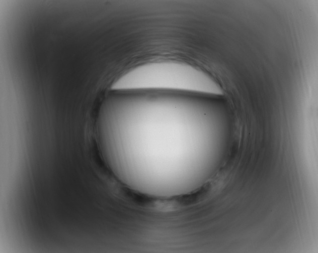 X0000099980272200805231029
