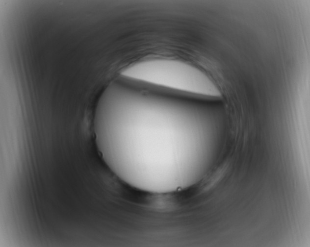 X0000099980273200805231029