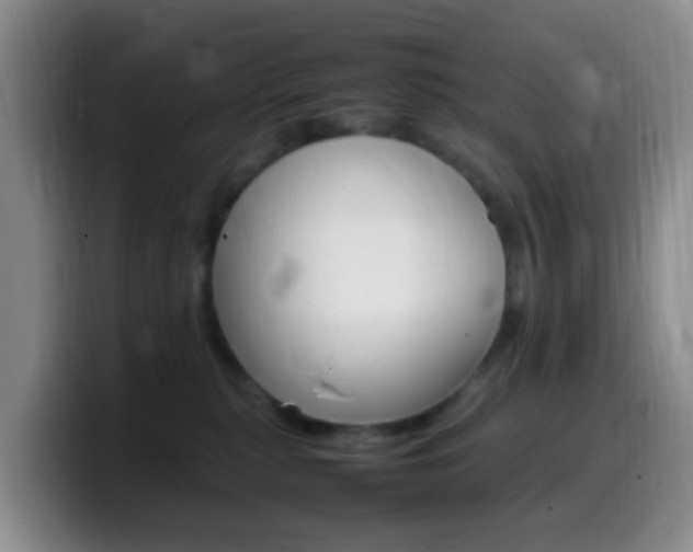 X0000099980279200805231029