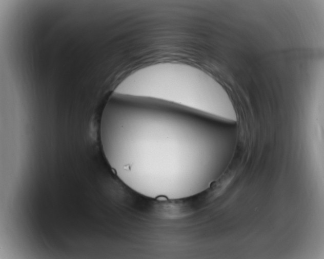 X0000099980282200805231029