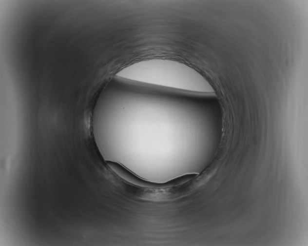 X0000099980288200805231029