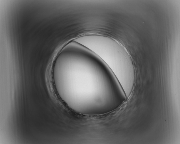X0000099980289200805231029