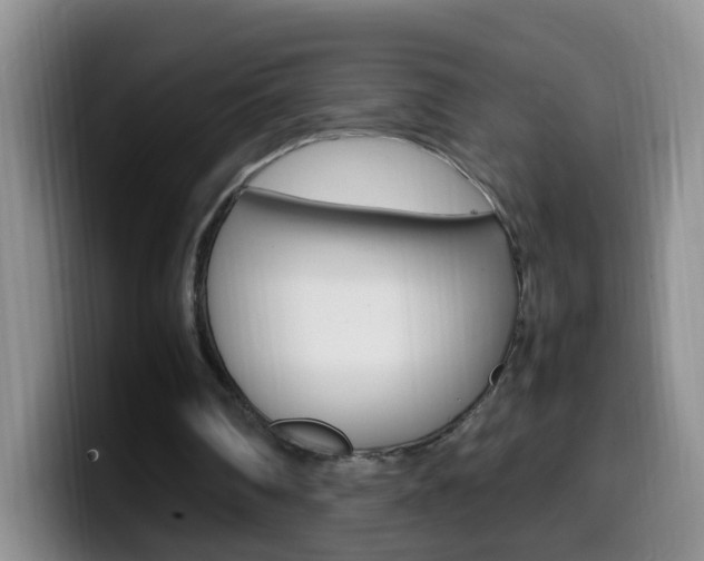 X0000099980290200805231029