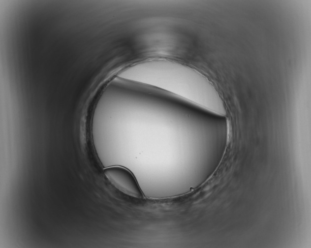 X0000099980291200805231029