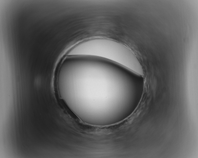X0000099980292200805231029