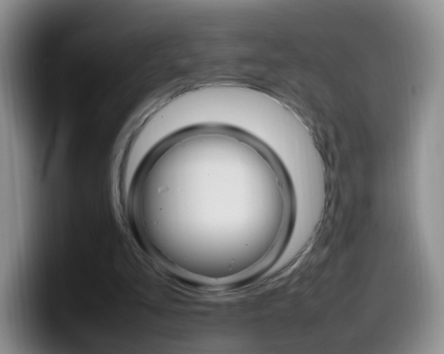 X0000099980293200805231029