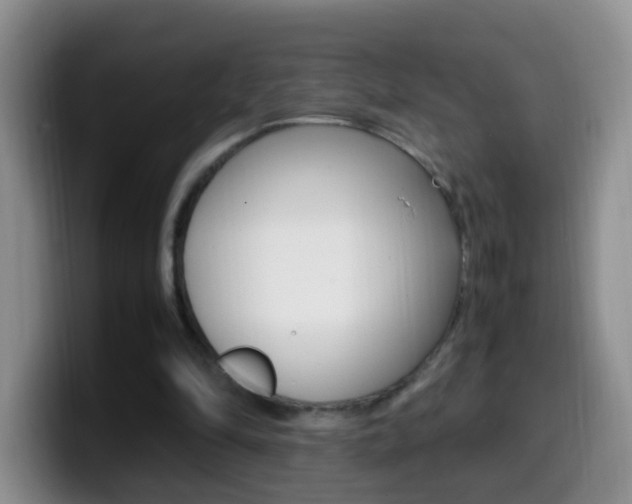 X0000099980294200805231029