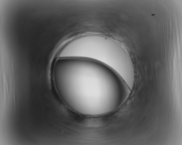 X0000099980296200805231029