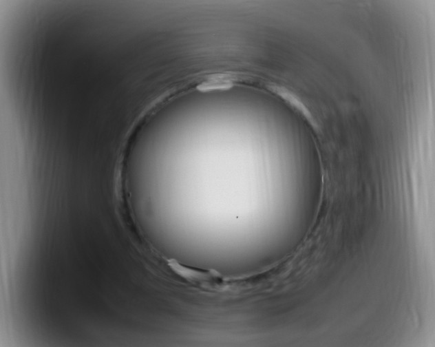 X0000099980297200805231029