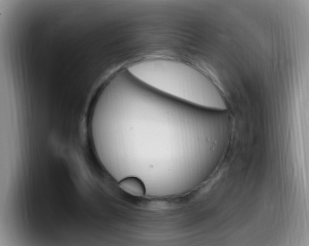 X0000099980298200805231029