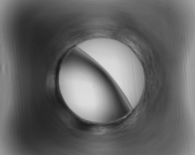 X0000099980299200805231029