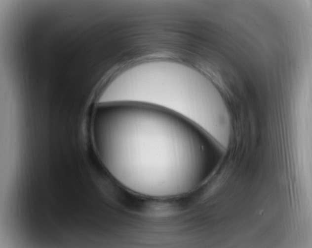 X0000099980300200805231029