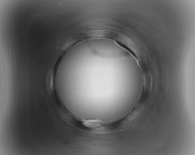 X0000099980301200805231029