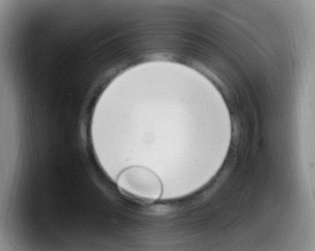 X0000099980302200805231029