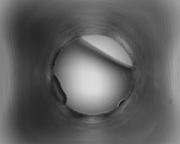 X0000099980305200805231029