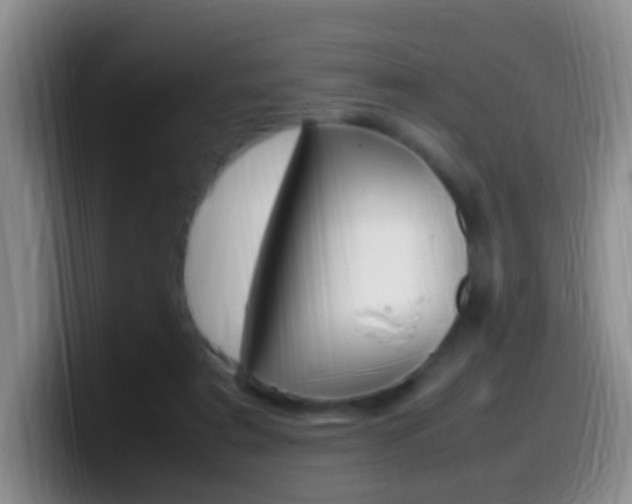 X0000099980307200805231029