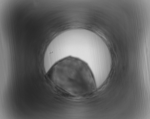 X0000099980309200805231029