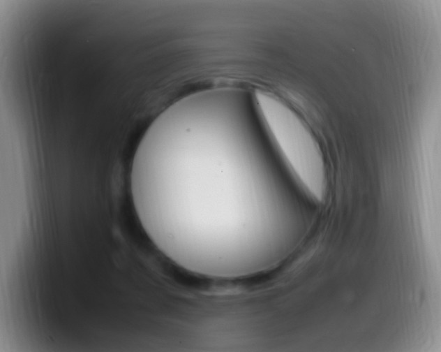 X0000099980311200805231029