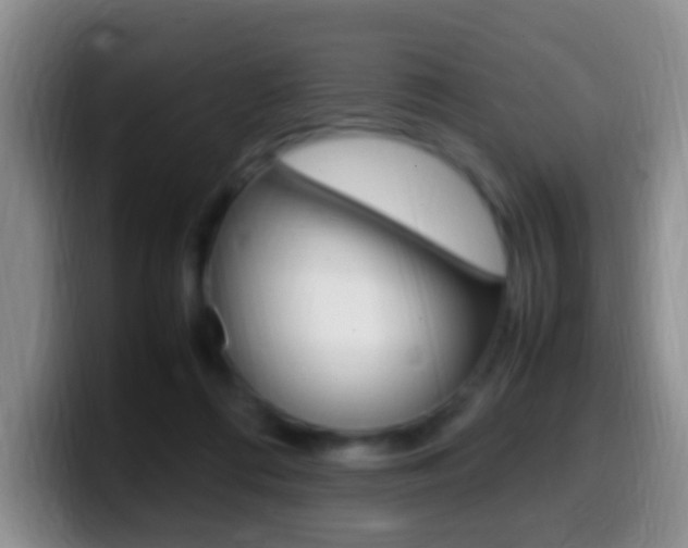 X0000099980312200805231028