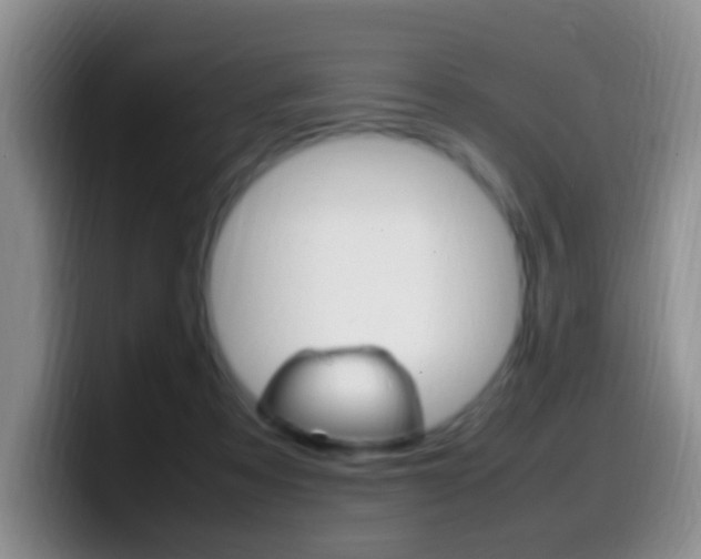 X0000099980313200805231028