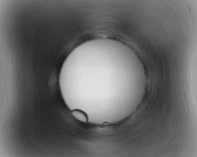 X0000099980314200805231028