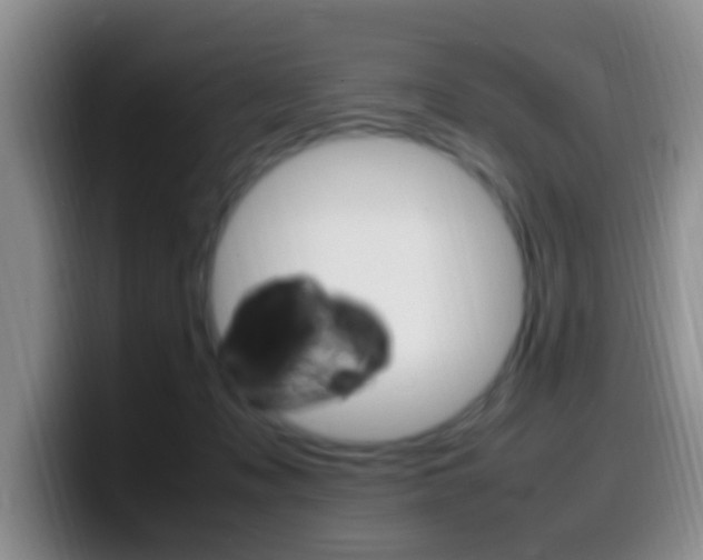 X0000099980317200805231028