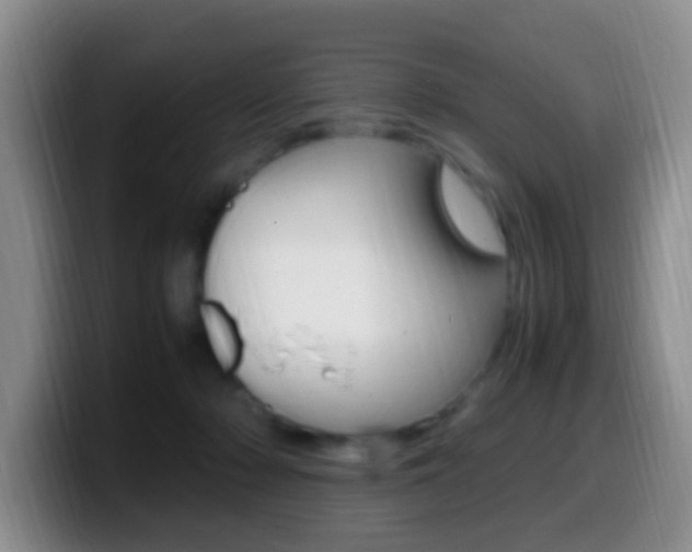 X0000099980318200805231028