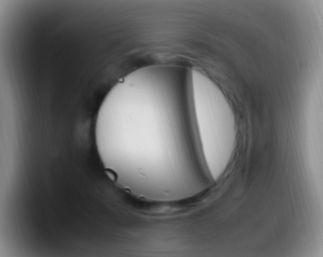 X0000099980319200805231028