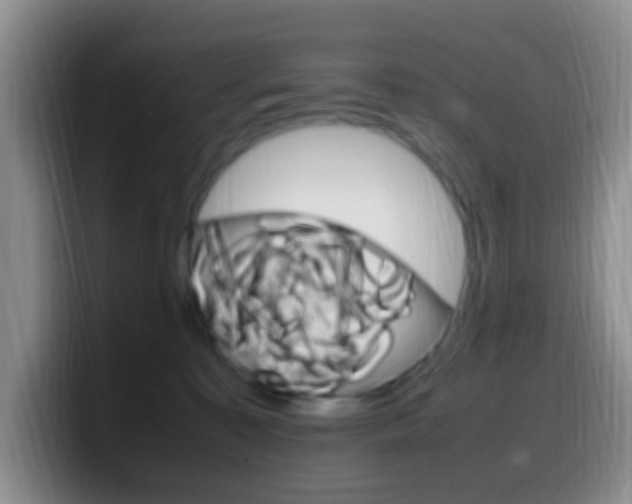 X0000099980323200805231028