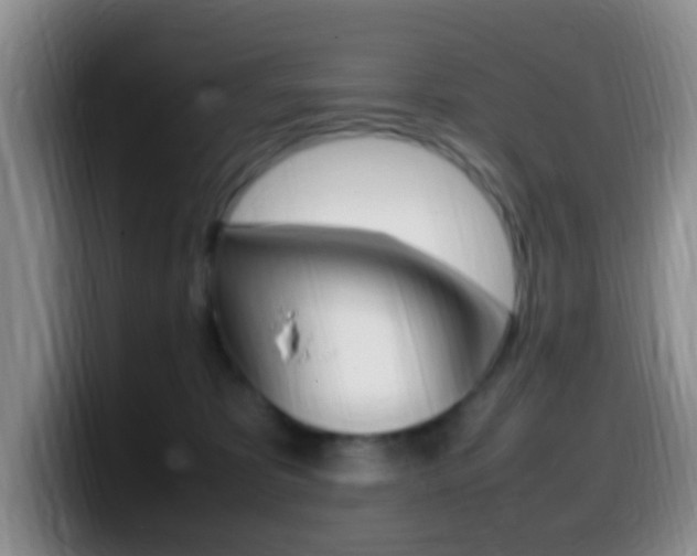 X0000099980325200805231028