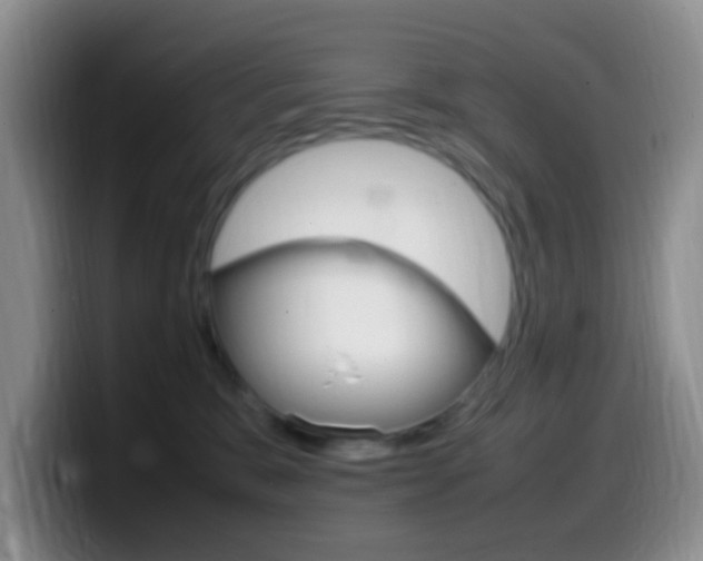 X0000099980327200805231028