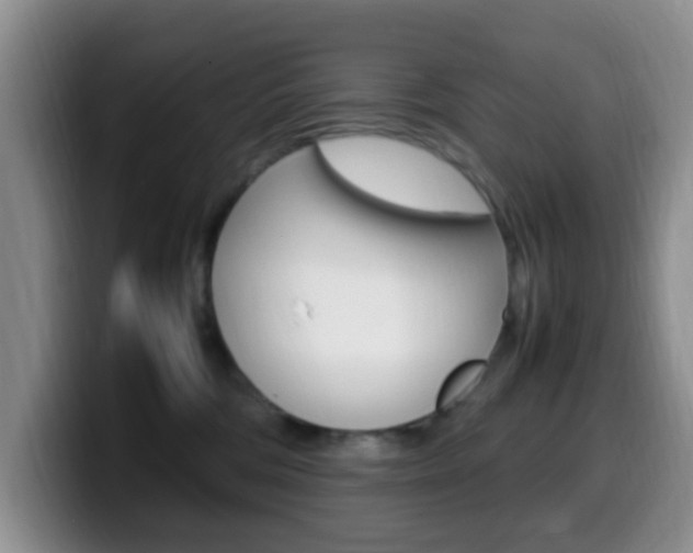 X0000099980330200805231028