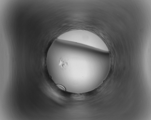 X0000099980331200805231028