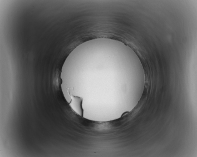 X0000099980334200805231028