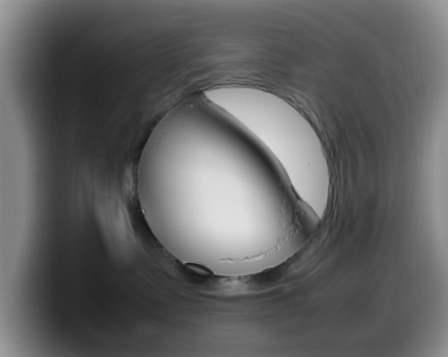 X0000099980335200805231028