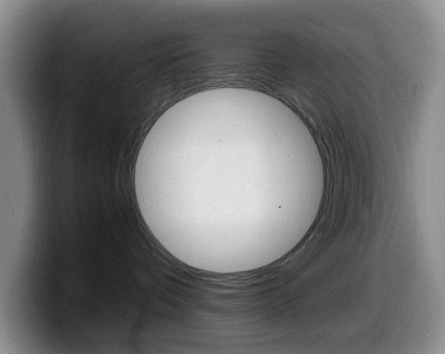 X0000099980336200805231028