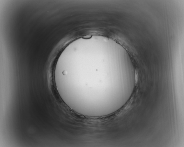 X0000099980339200805231028