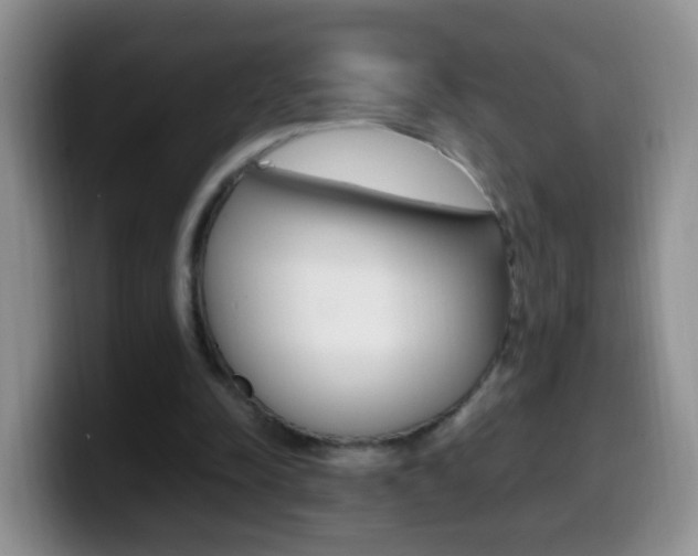 X0000099980342200805231028