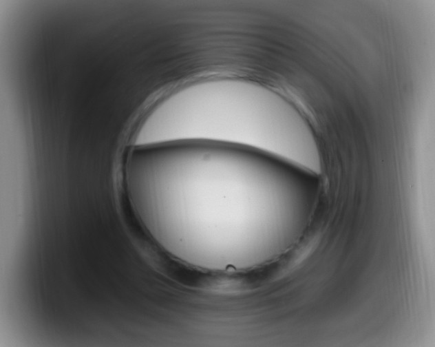 X0000099980348200805231028