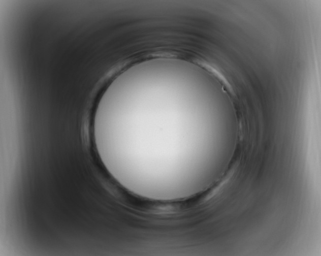 X0000099980349200805231028