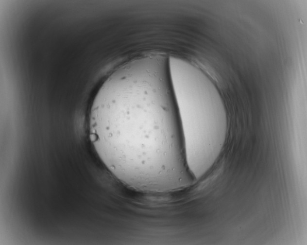 X0000099980351200805231028