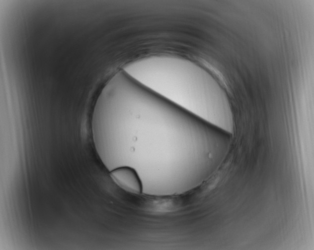 X0000099980353200805231028