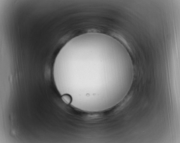 X0000099980357200805231028